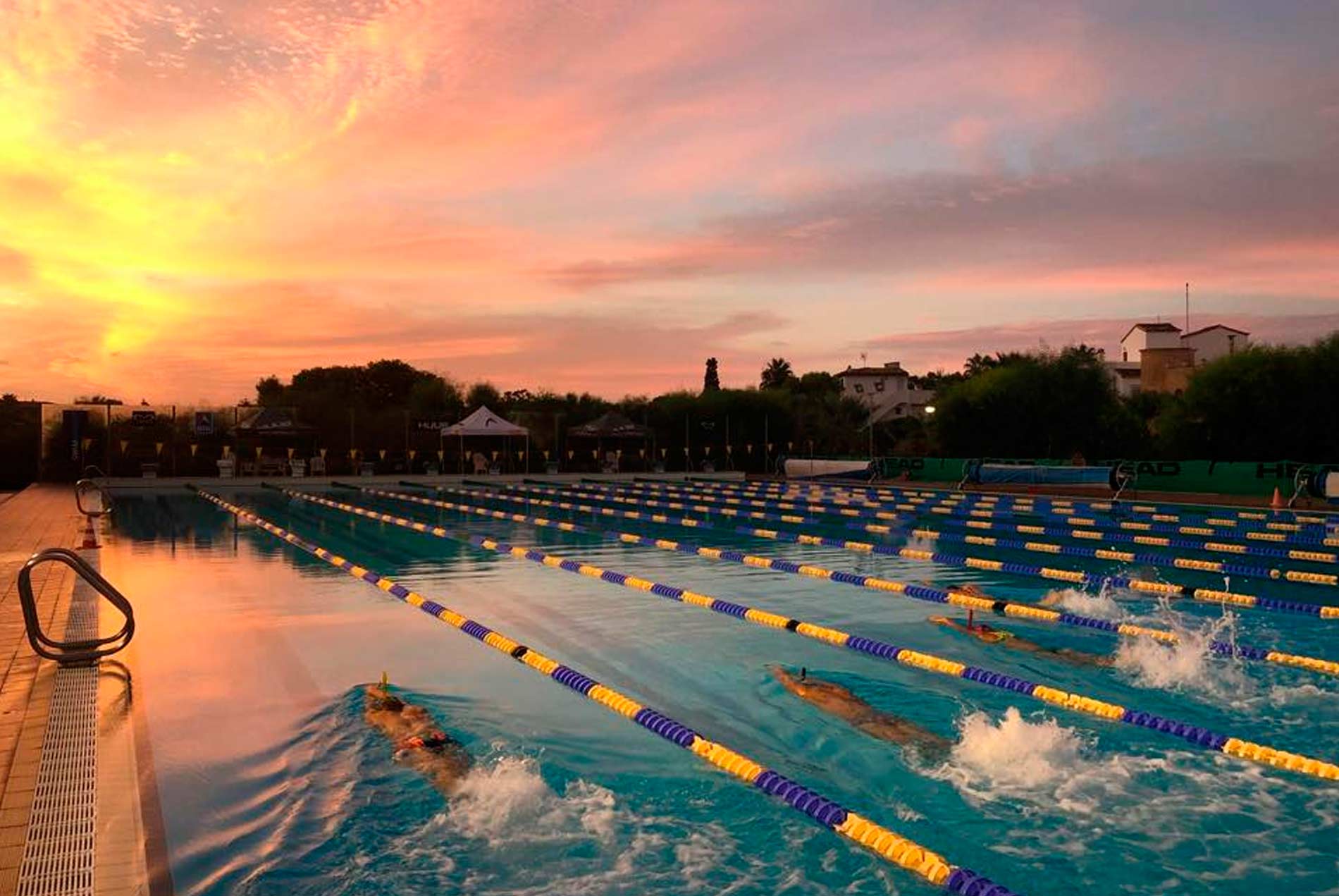 la idea de dos nadadores olímpicos que a día de hoy es toda una referencia en el mundo de la natación